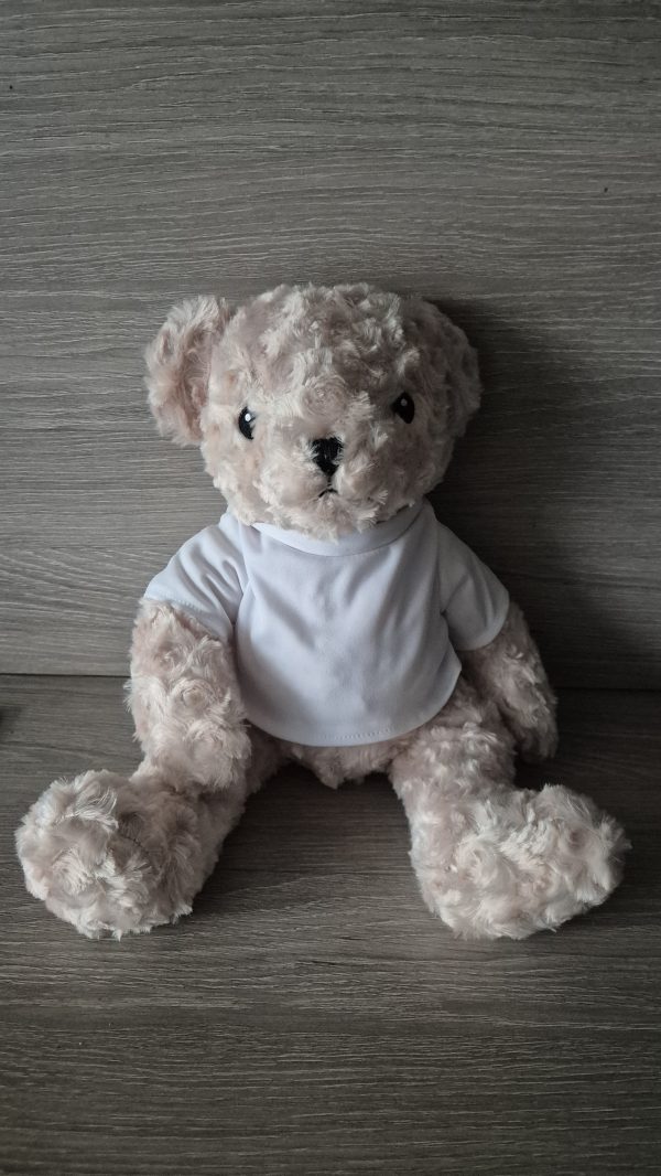 Teddy with Sublimation T.shirt